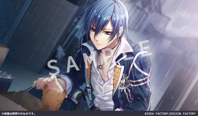 GAMECITYオンラインショッピング：Glass Heart Princess for Nintendo