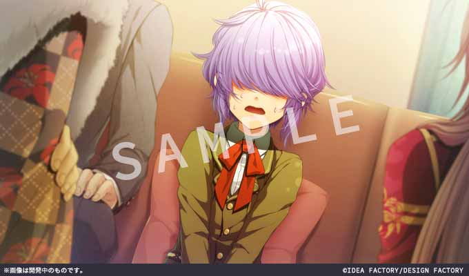 GAMECITYオンラインショッピング：Glass Heart Princess for Nintendo