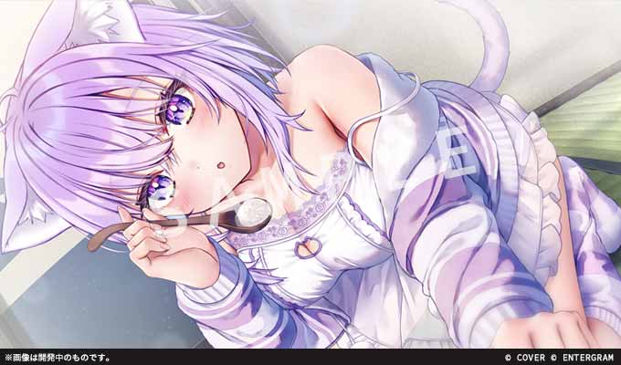 猫又おかゆ おかゆにゅ〜〜む 完全生産限定版(公式ショップ版)+おまけ おかゆにゅ～～む！ 完全生産限定版 : Game Soft (Nintendo Switch