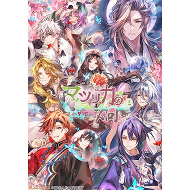GAMECITYオンラインショッピング：マツリカの炯-kEi- 天命胤異伝